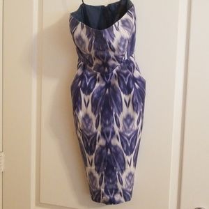 Blue and white J.crew dress